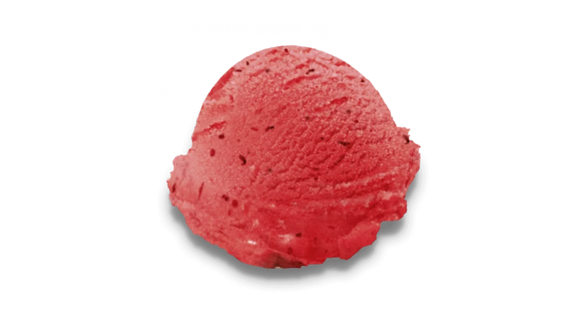 Morangos Silvestres